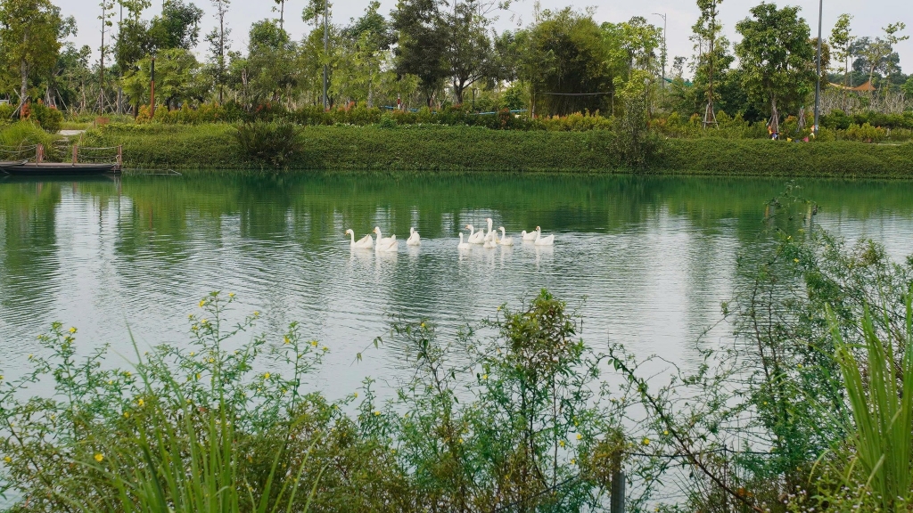 Sở hữu căn hộ tại” Tâm Điểm Vàng” Long Thành – giá đang còn rất mền!