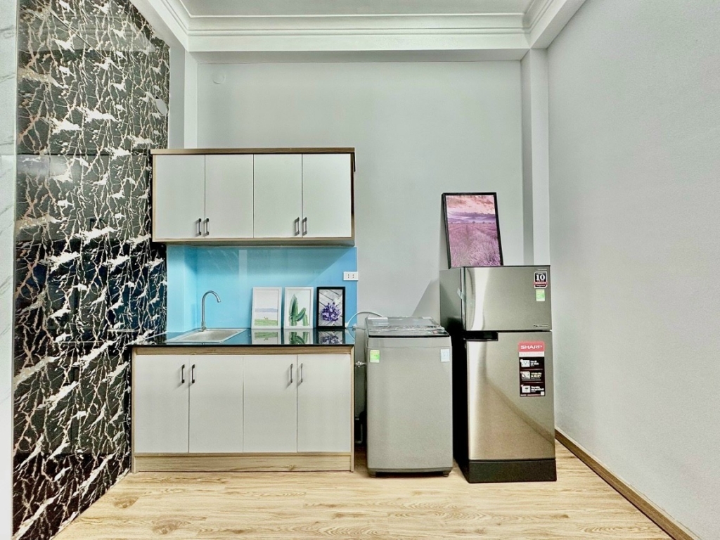 Cho thuê CHDV 1PN 51m2 Lê Thánh Tôn Quận 1 full Nội thất