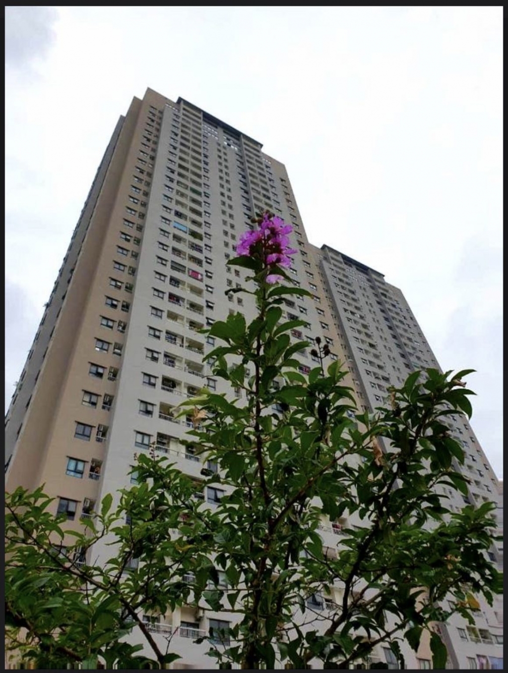 Cần bán căn hộ Osaka Hoàng Mai – Hà Nội