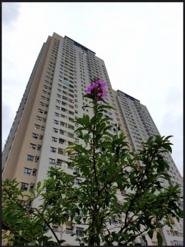 Cần bán căn hộ Osaka Hoàng Mai – Hà Nội