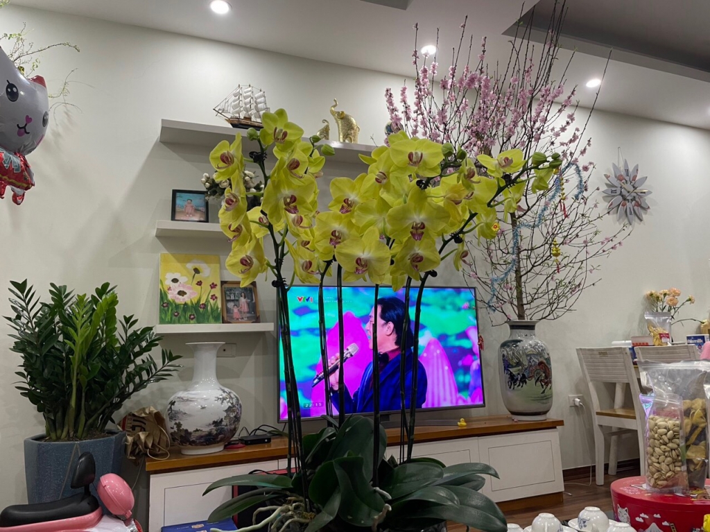 Chung cư oct5 resco cổ nhuế full nội thất đẹp chỉ việc dọn về ở